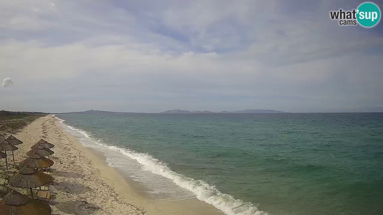 Playa Le Saline camera en vivo Stintino – Cerdeña