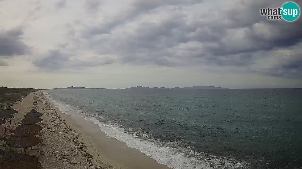 Plaža Le Saline spletna kamera Stintino – Sardinija