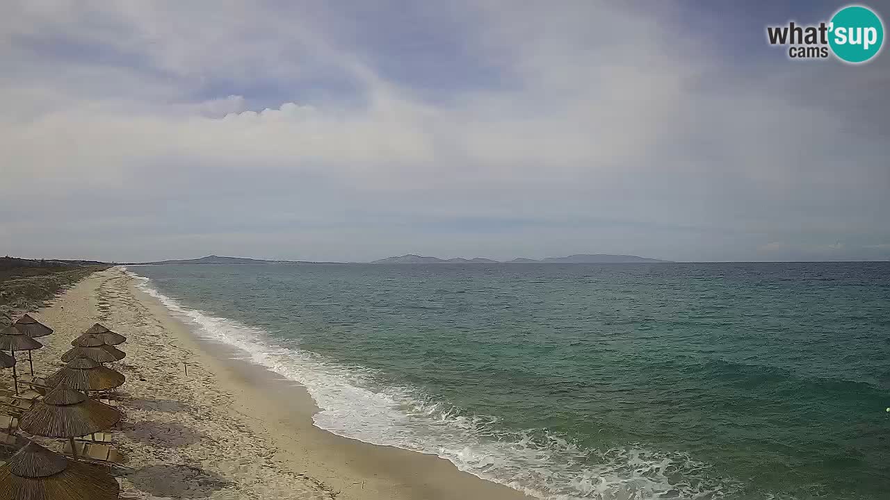 Plage Le Saline Live cam Stintino – Sardaigne