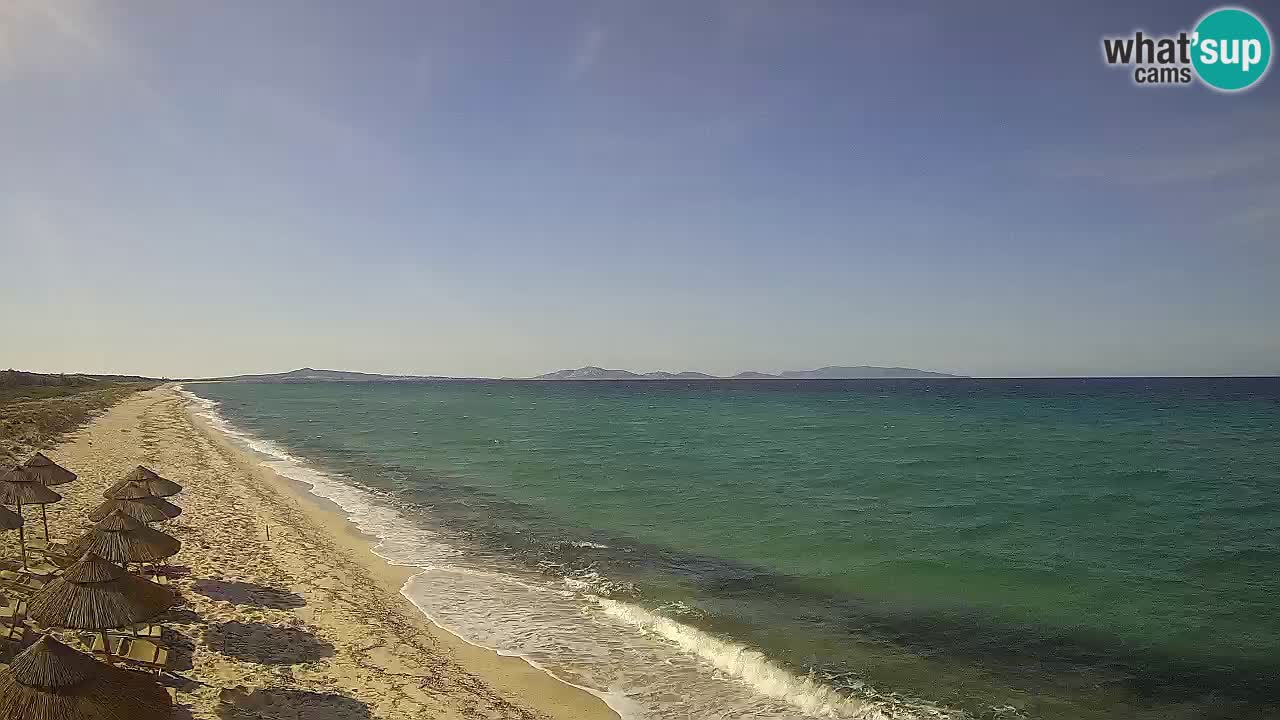 Plaža Le Saline spletna kamera Stintino – Sardinija