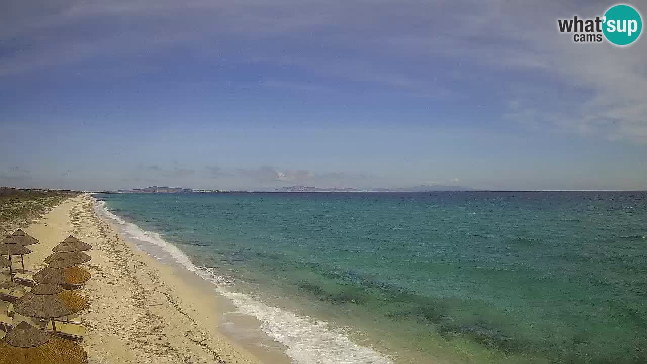 Spiaggia Le Saline webcam Stintino – Sardegna