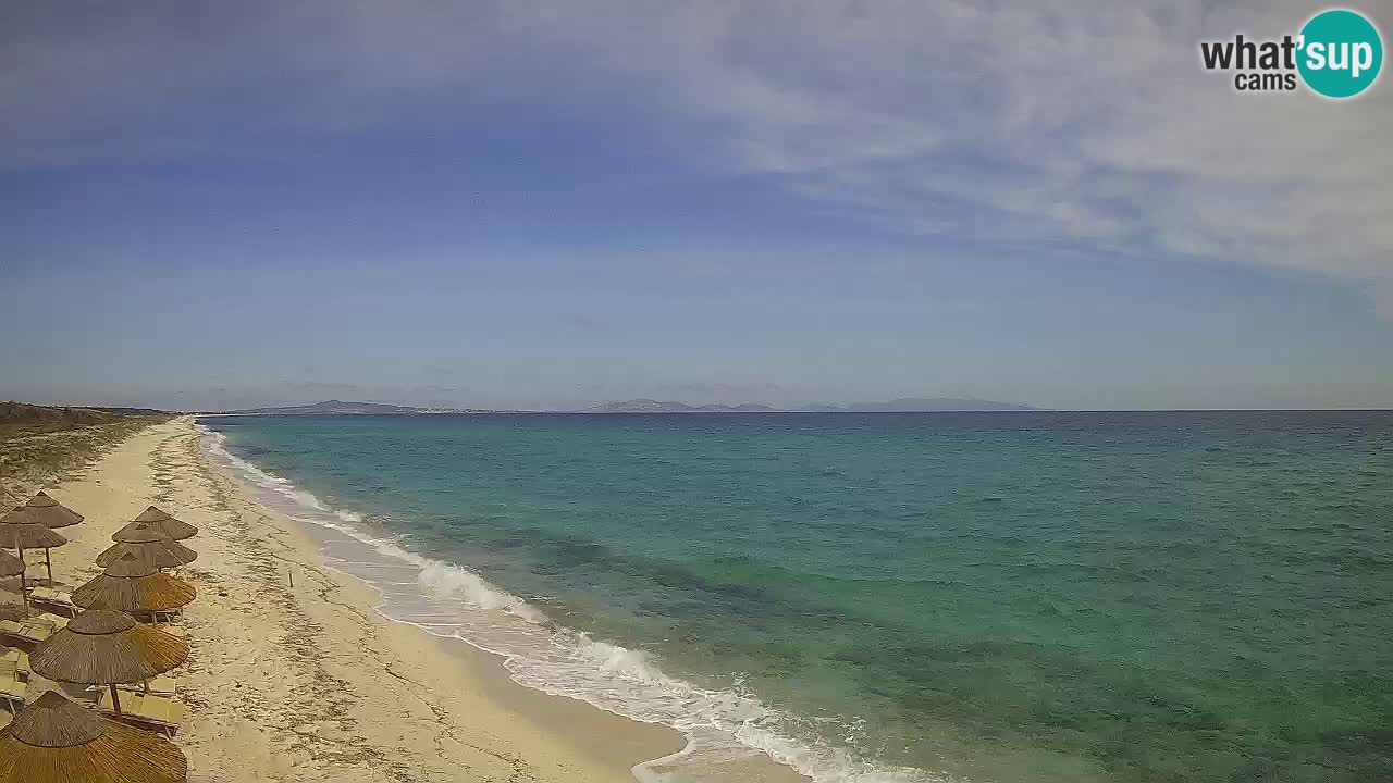 Plage Le Saline Live cam Stintino – Sardaigne