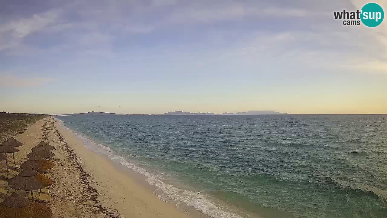 Beach Le Saline webcam live Stintino – Sardinia