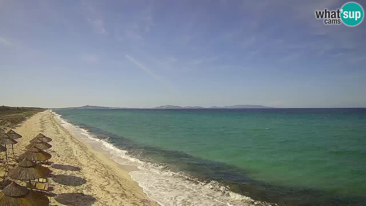 Beach Le Saline webcam live Stintino – Sardinia