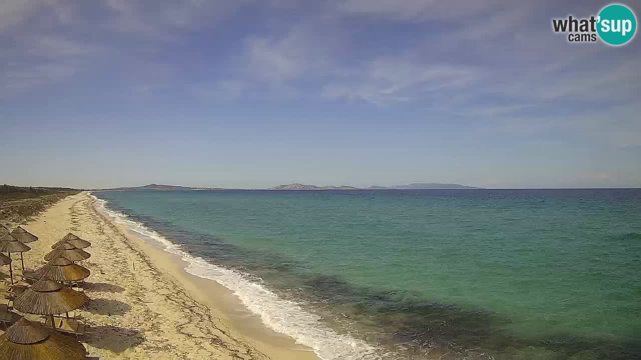 Playa Le Saline camera en vivo Stintino – Cerdeña