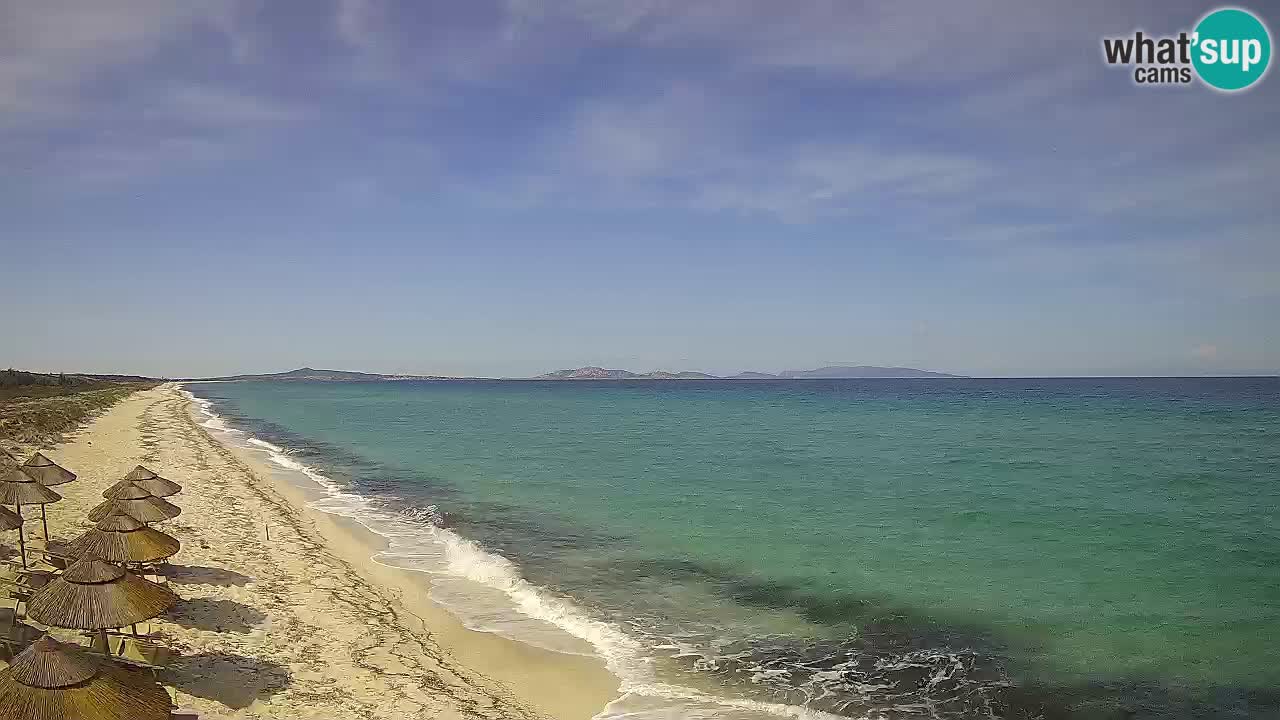 Beach Le Saline webcam live Stintino – Sardinia