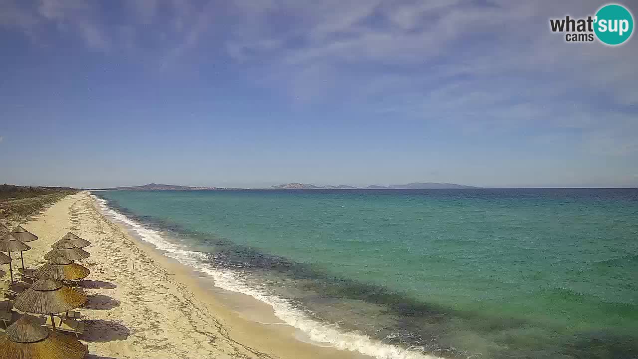 Playa Le Saline camera en vivo Stintino – Cerdeña