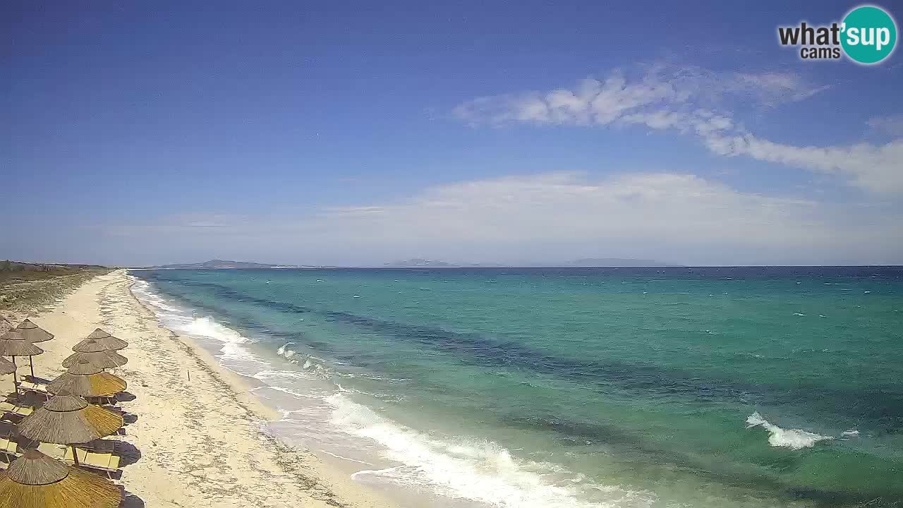 Plaža Le Saline web kamera Stintino – Sardinija