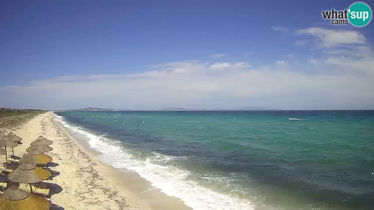 Spiaggia Le Saline webcam Stintino – Sardegna