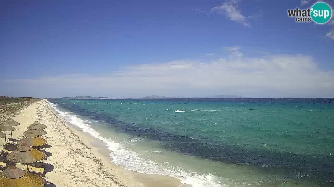Beach Le Saline webcam live Stintino – Sardinia