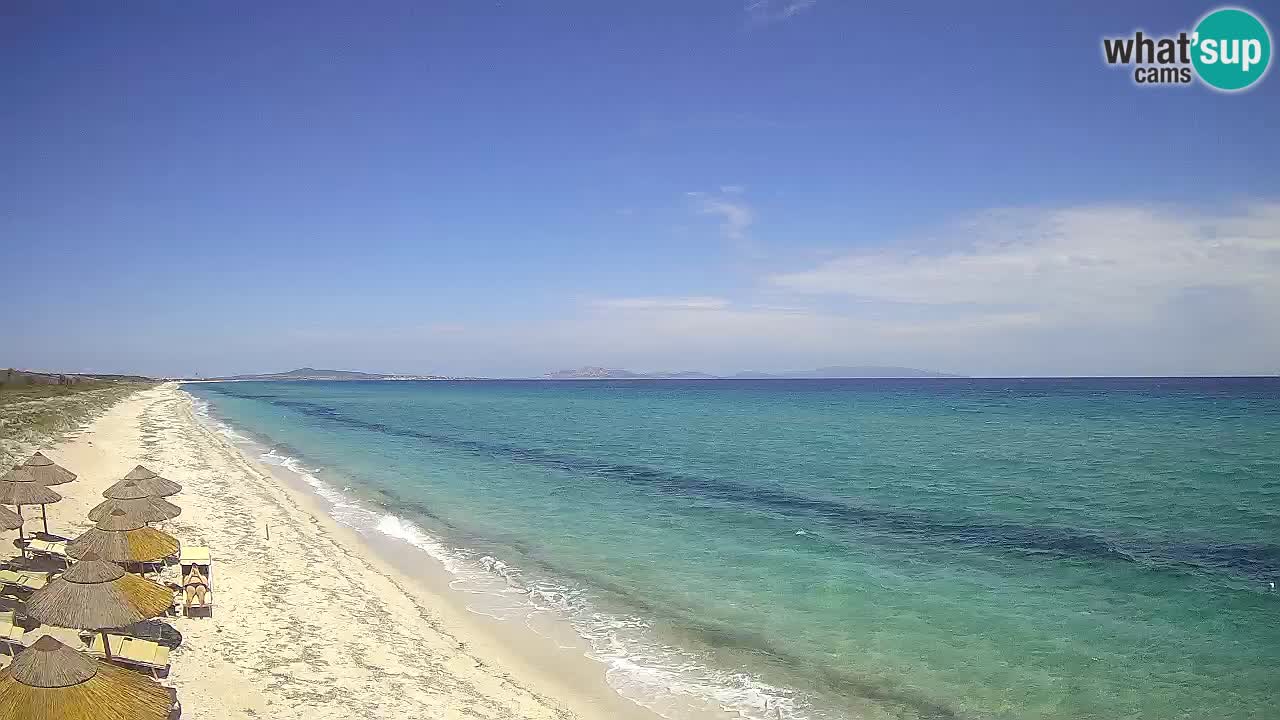 Strand Le Saline webcam Stintino – Sardinien