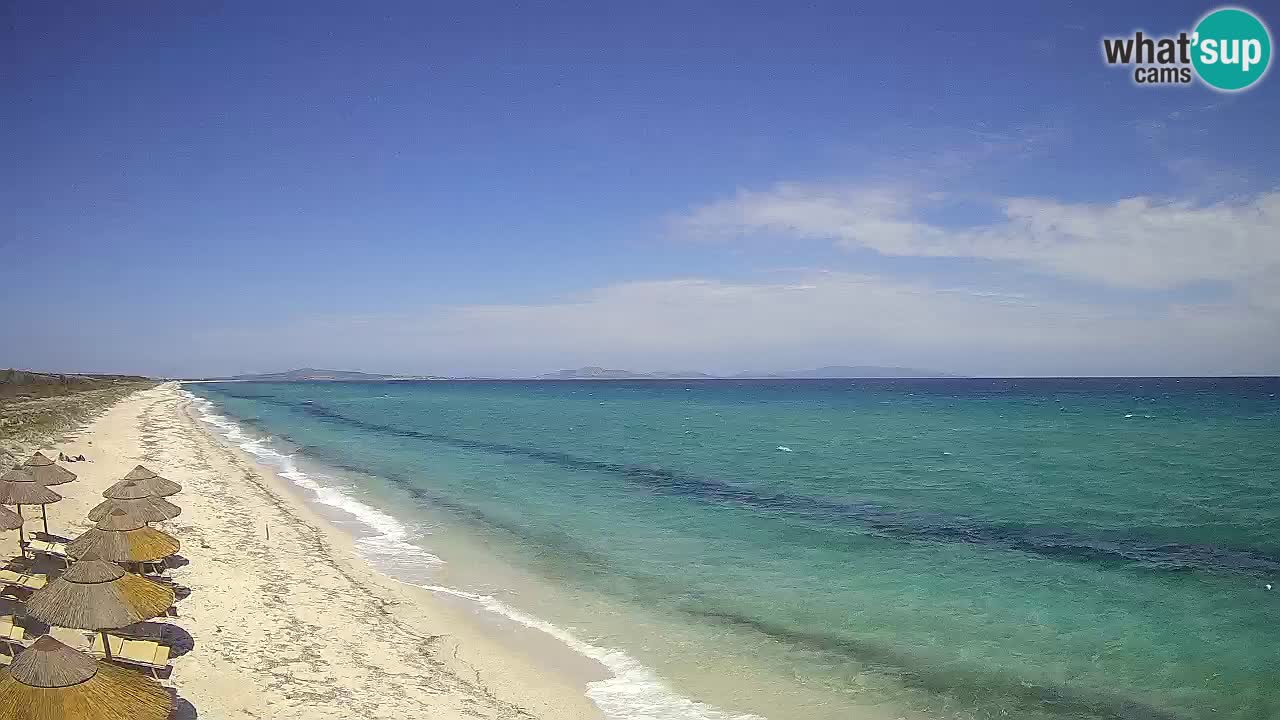Spiaggia Le Saline webcam Stintino – Sardegna