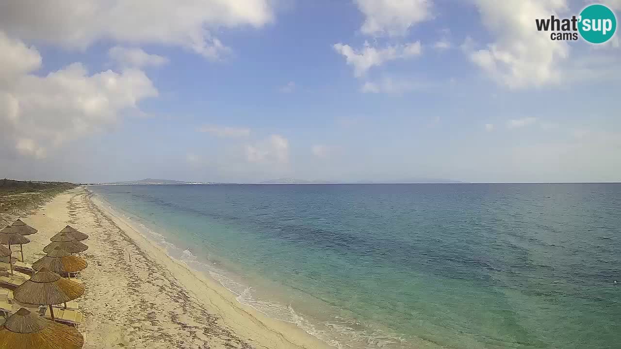 Plaža Le Saline web kamera Stintino – Sardinija