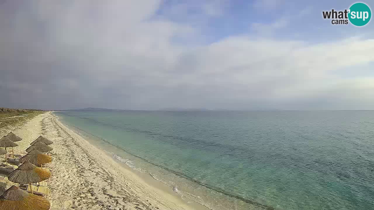 Plaža Le Saline web kamera Stintino – Sardinija
