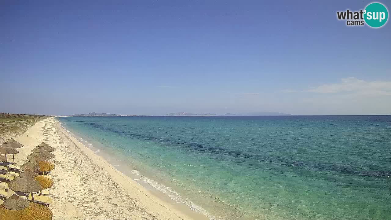 Spiaggia Le Saline webcam Stintino – Sardegna