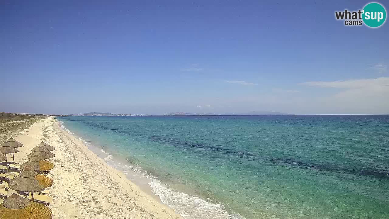 Spiaggia Le Saline webcam Stintino – Sardegna