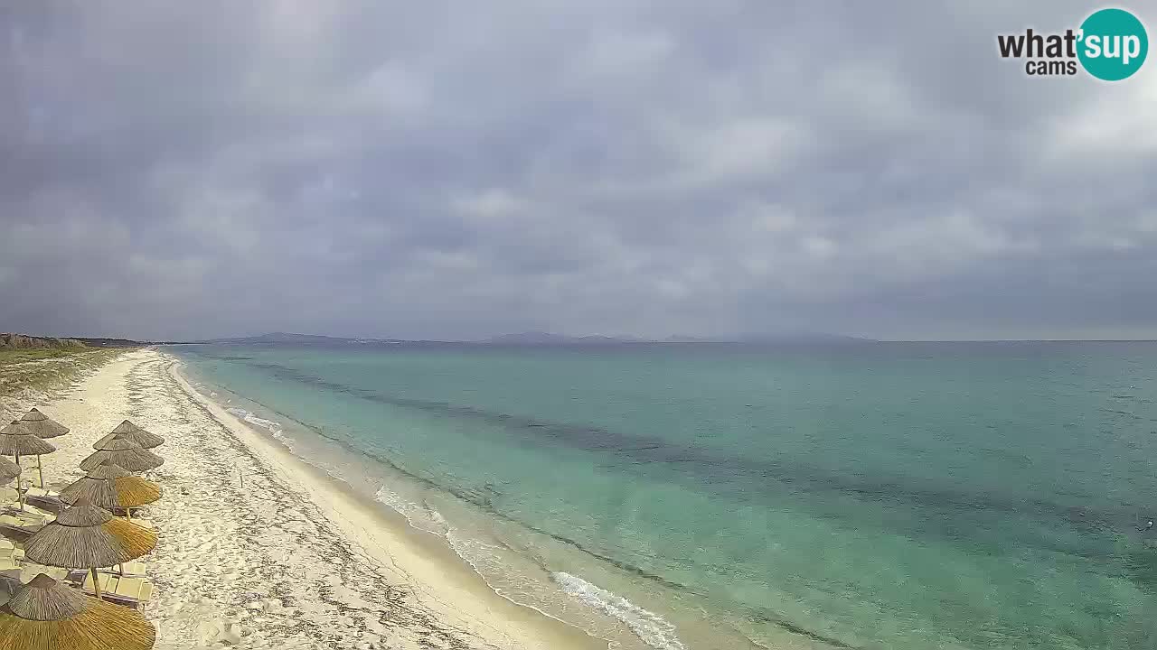 Spiaggia Le Saline webcam Stintino – Sardegna