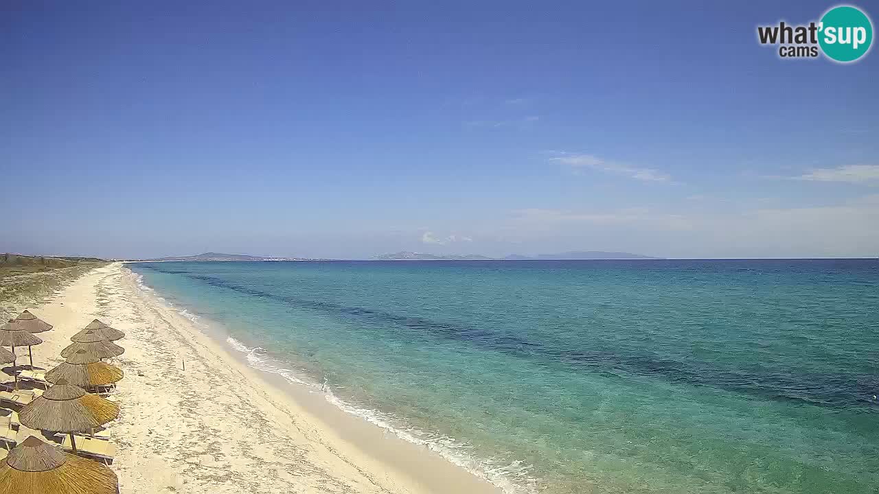 Plaža Le Saline web kamera Stintino – Sardinija