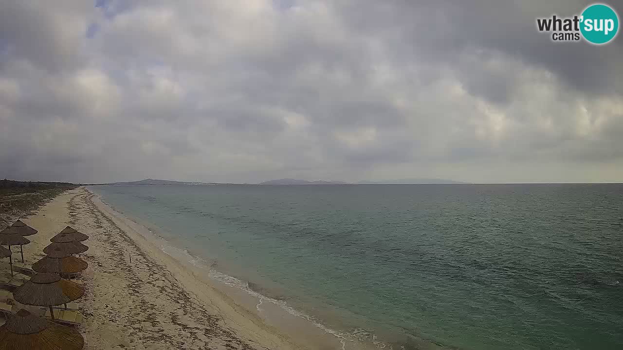 Playa Le Saline camera en vivo Stintino – Cerdeña