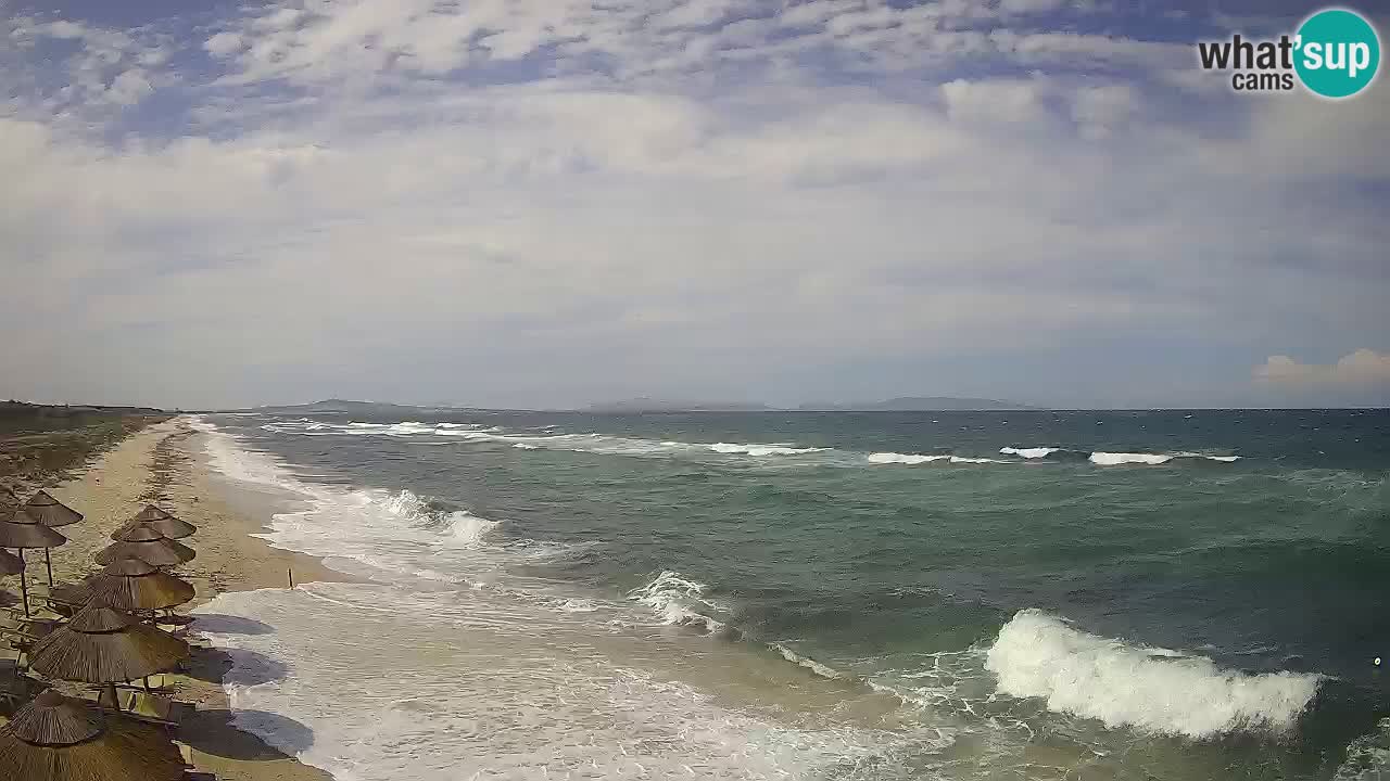 Spiaggia Le Saline webcam Stintino – Sardegna