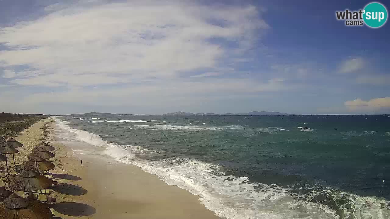Strand Le Saline webcam Stintino – Sardinien