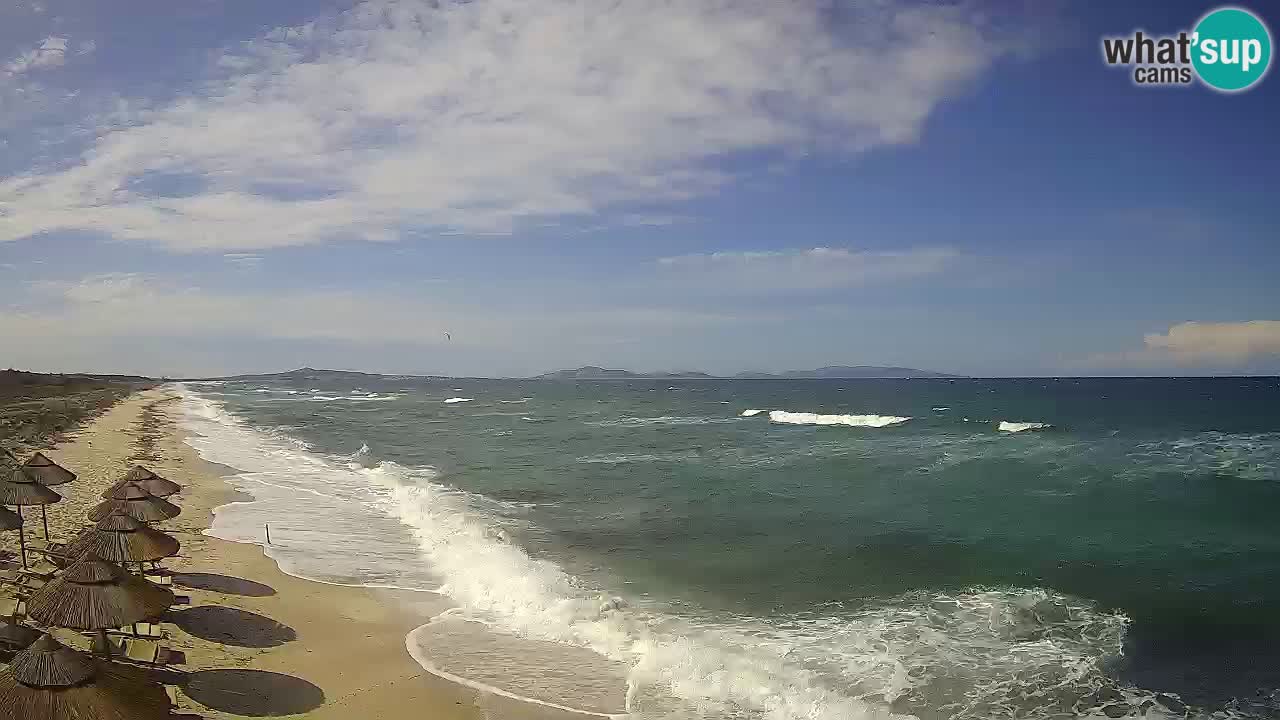 Beach Le Saline webcam live Stintino – Sardinia