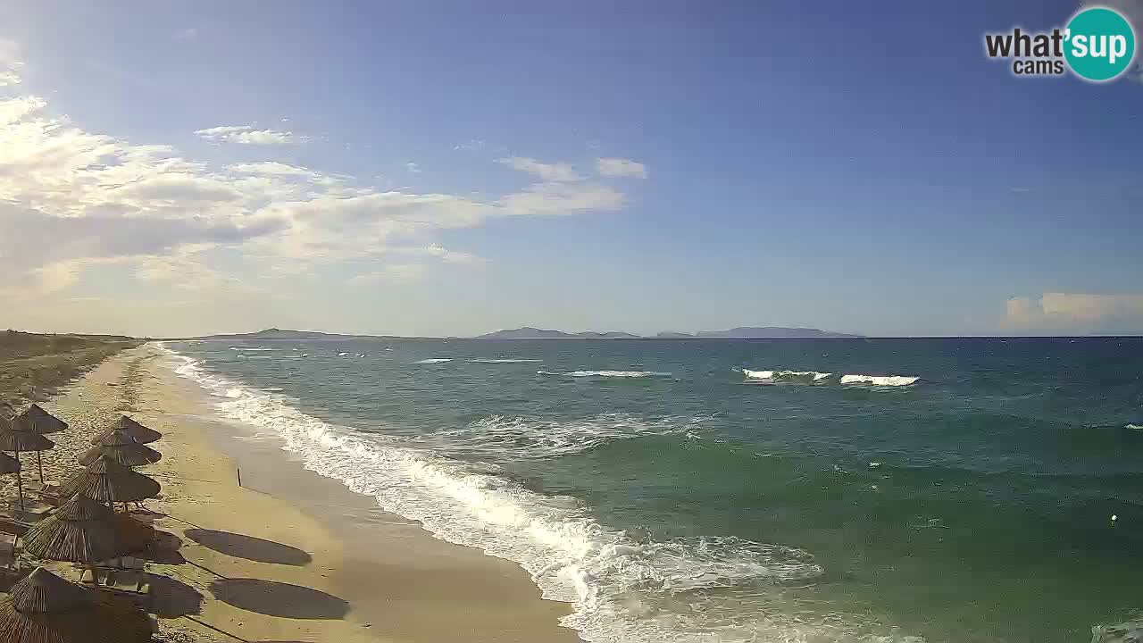 Playa Le Saline camera en vivo Stintino – Cerdeña
