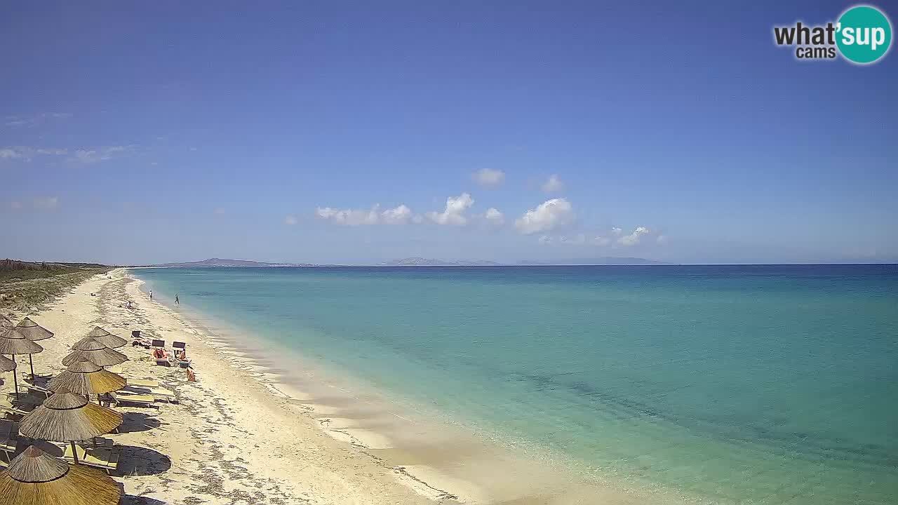 Strand Le Saline webcam Stintino – Sardinien