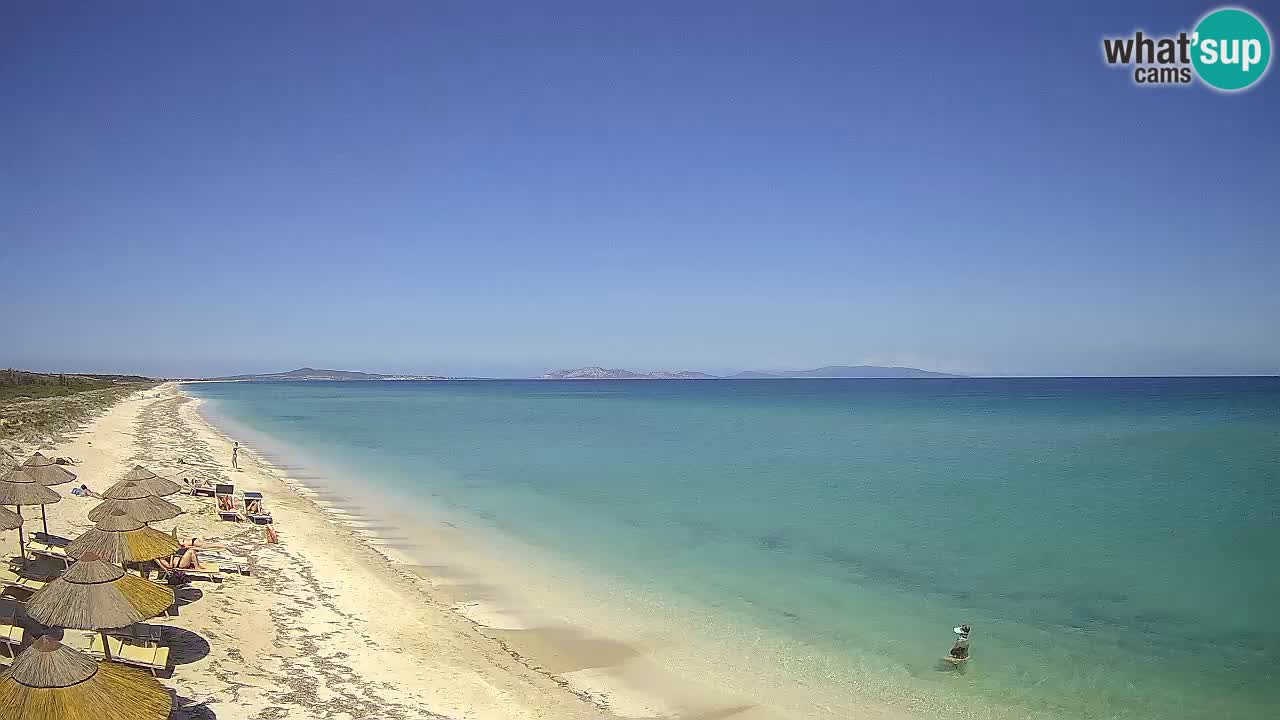 Plaža Le Saline spletna kamera Stintino – Sardinija