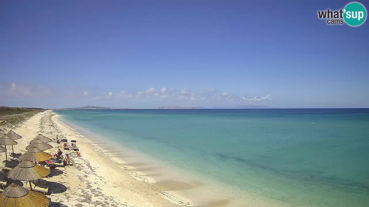 Strand Le Saline webcam Stintino – Sardinien