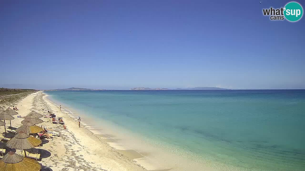 Playa Le Saline camera en vivo Stintino – Cerdeña