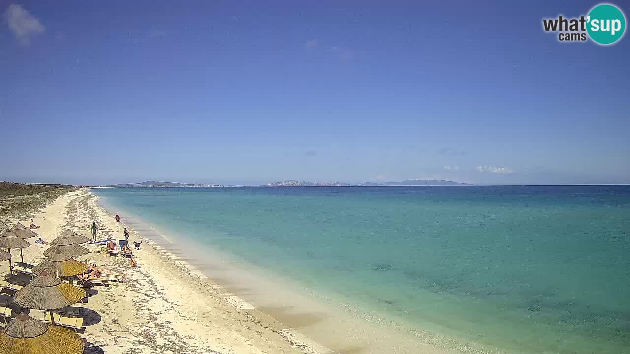Plaža Le Saline web kamera Stintino – Sardinija