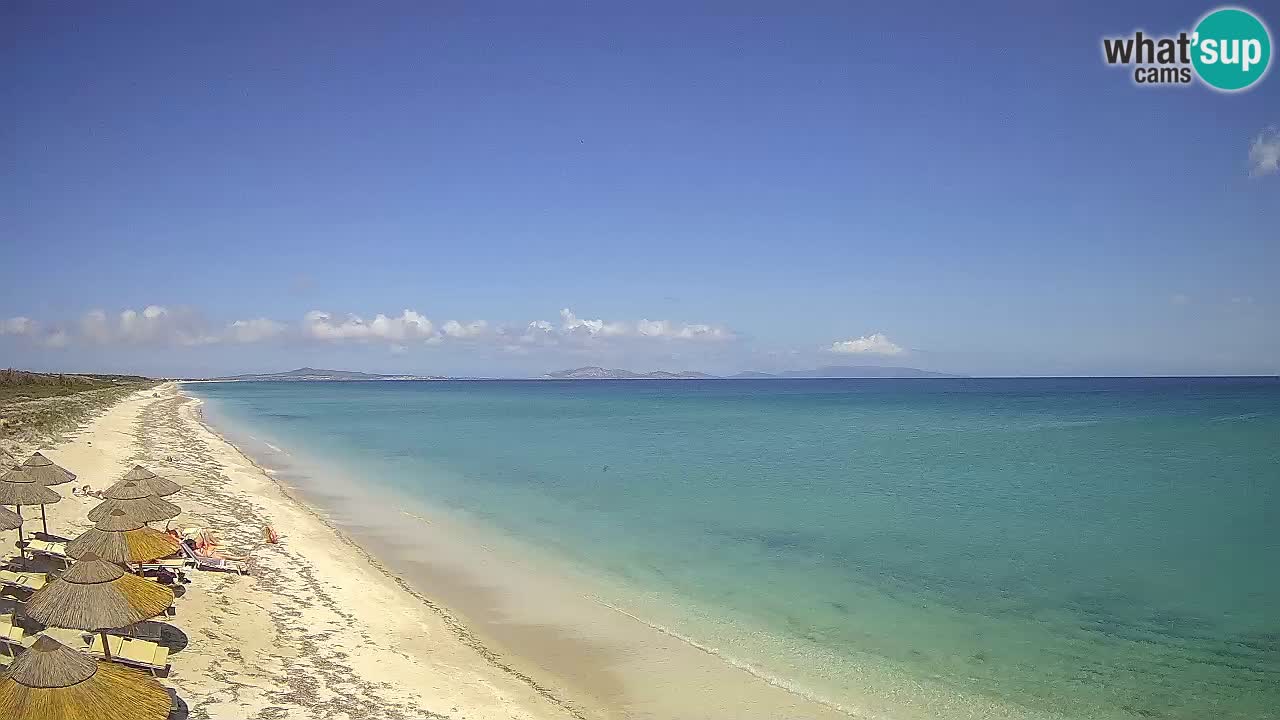 Spiaggia Le Saline webcam Stintino – Sardegna