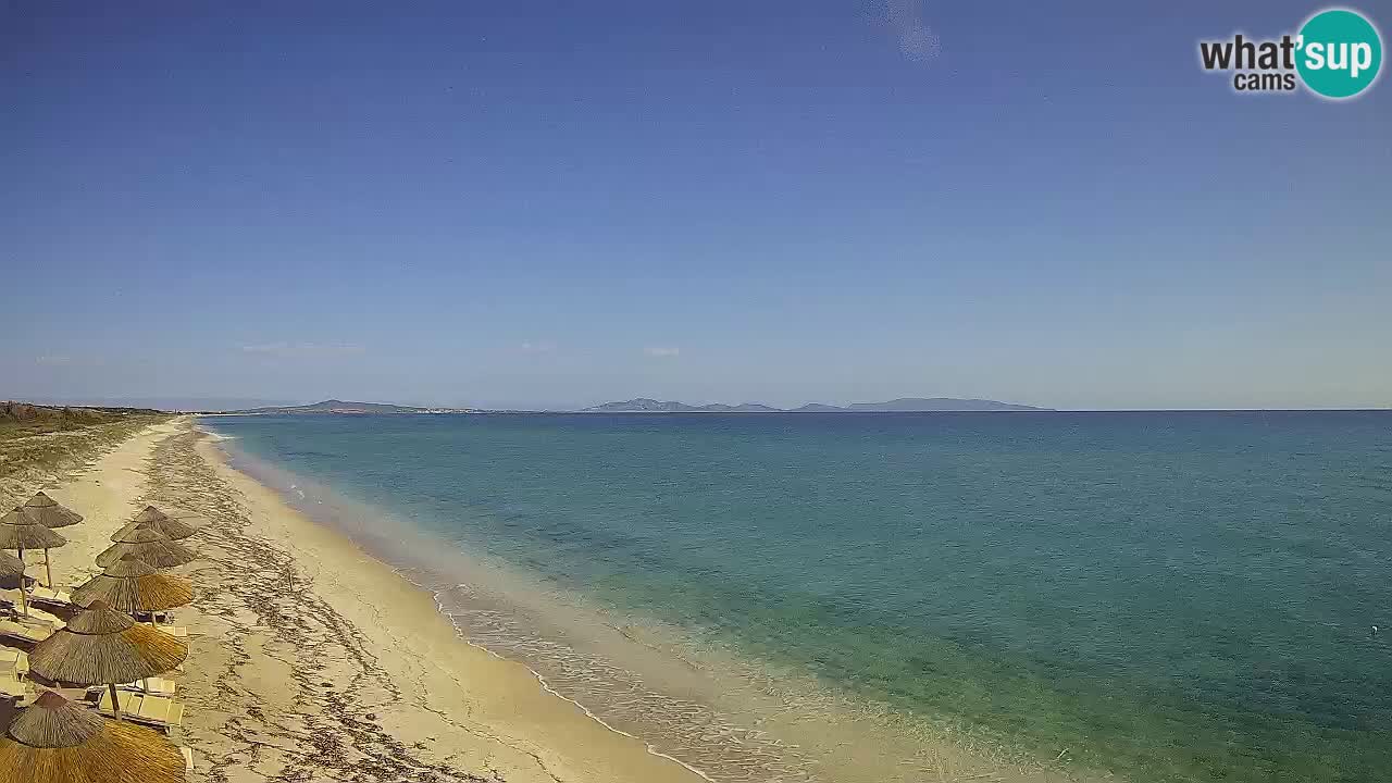 Plaža Le Saline web kamera Stintino – Sardinija