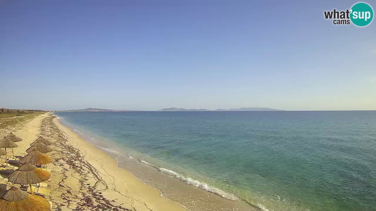 Strand Le Saline webcam Stintino – Sardinien