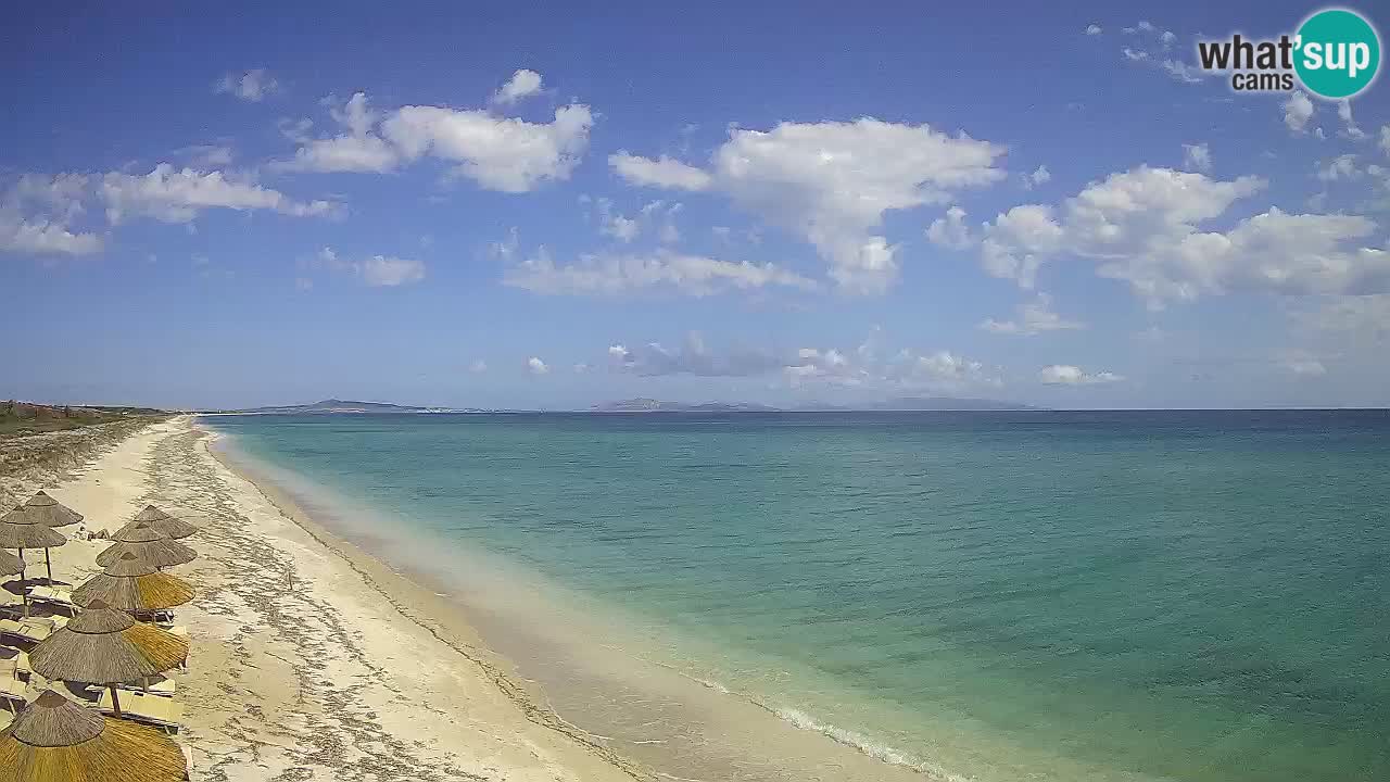 Plaža Le Saline spletna kamera Stintino – Sardinija