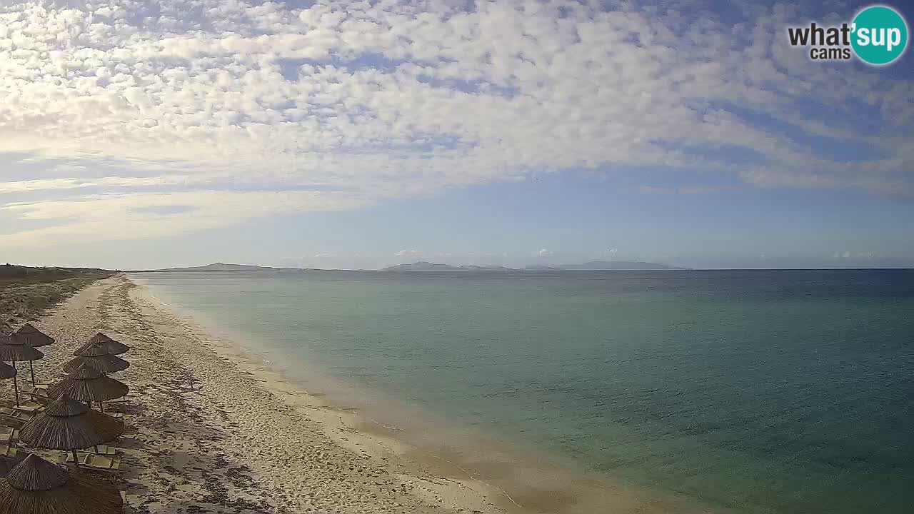 Strand Le Saline webcam Stintino – Sardinien