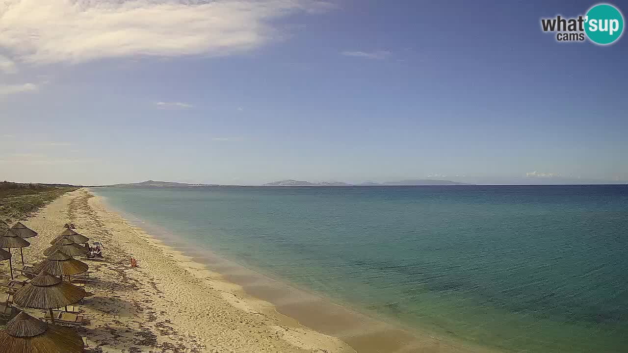 Beach Le Saline webcam live Stintino – Sardinia
