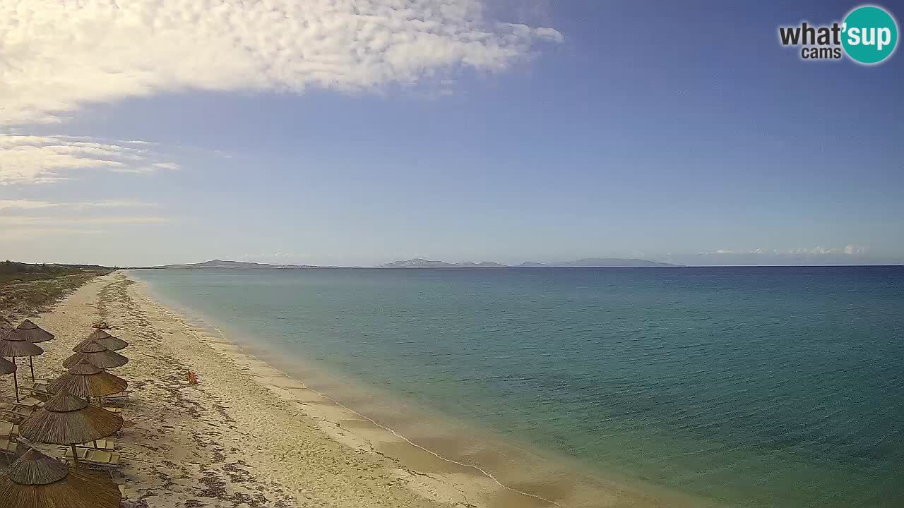 Beach Le Saline webcam live Stintino – Sardinia
