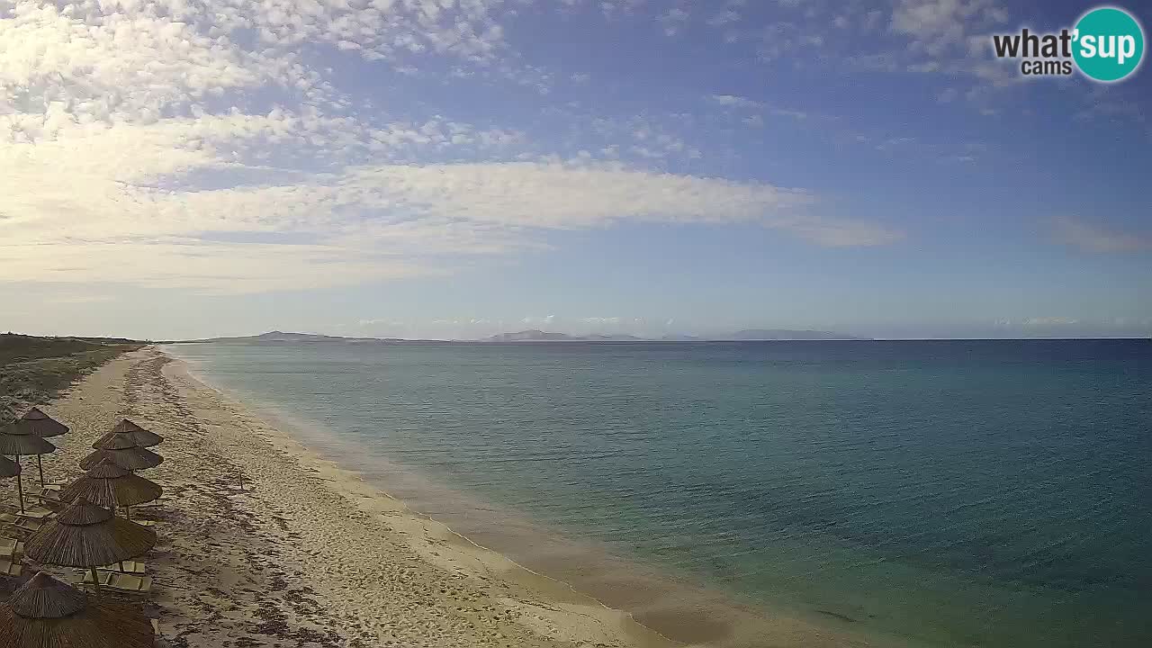 Plaža Le Saline spletna kamera Stintino – Sardinija