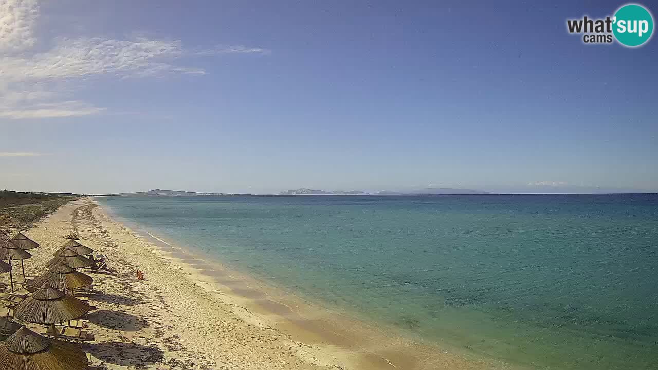 Plaža Le Saline web kamera Stintino – Sardinija