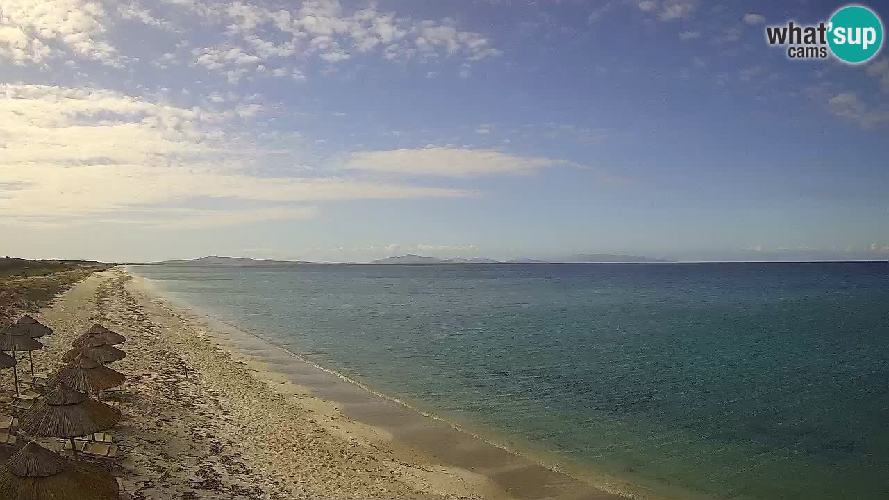 Playa Le Saline camera en vivo Stintino – Cerdeña