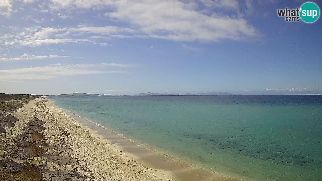 Plaža Le Saline spletna kamera Stintino – Sardinija