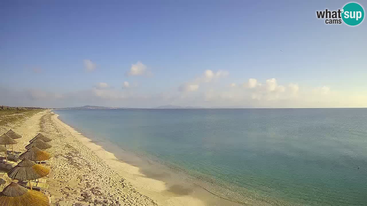 Beach Le Saline webcam live Stintino – Sardinia