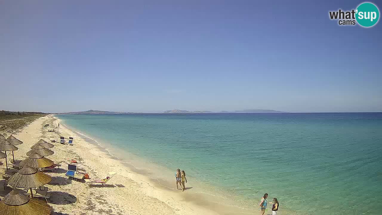 Playa Le Saline camera en vivo Stintino – Cerdeña