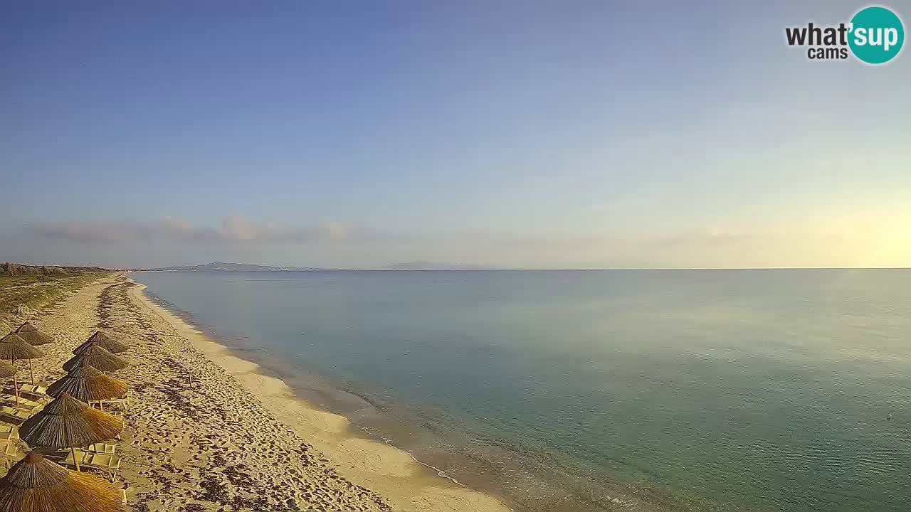 Playa Le Saline camera en vivo Stintino – Cerdeña