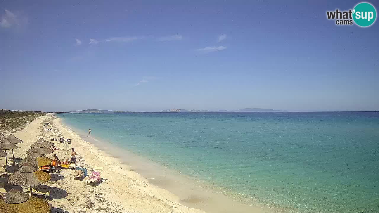 Strand Le Saline webcam Stintino – Sardinien