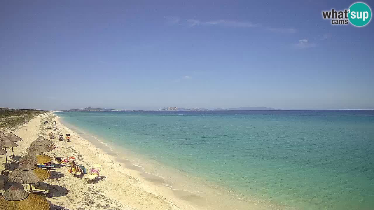 Beach Le Saline webcam live Stintino – Sardinia