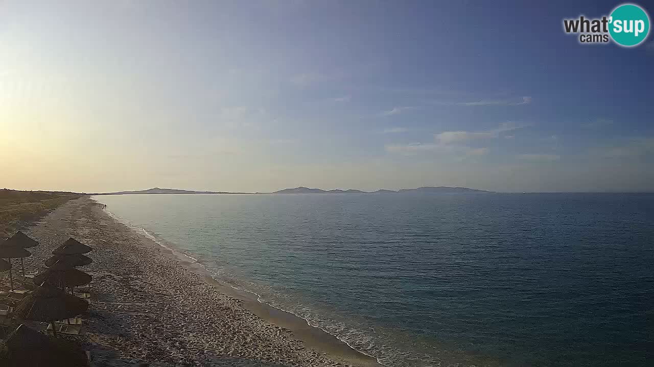Playa Le Saline camera en vivo Stintino – Cerdeña