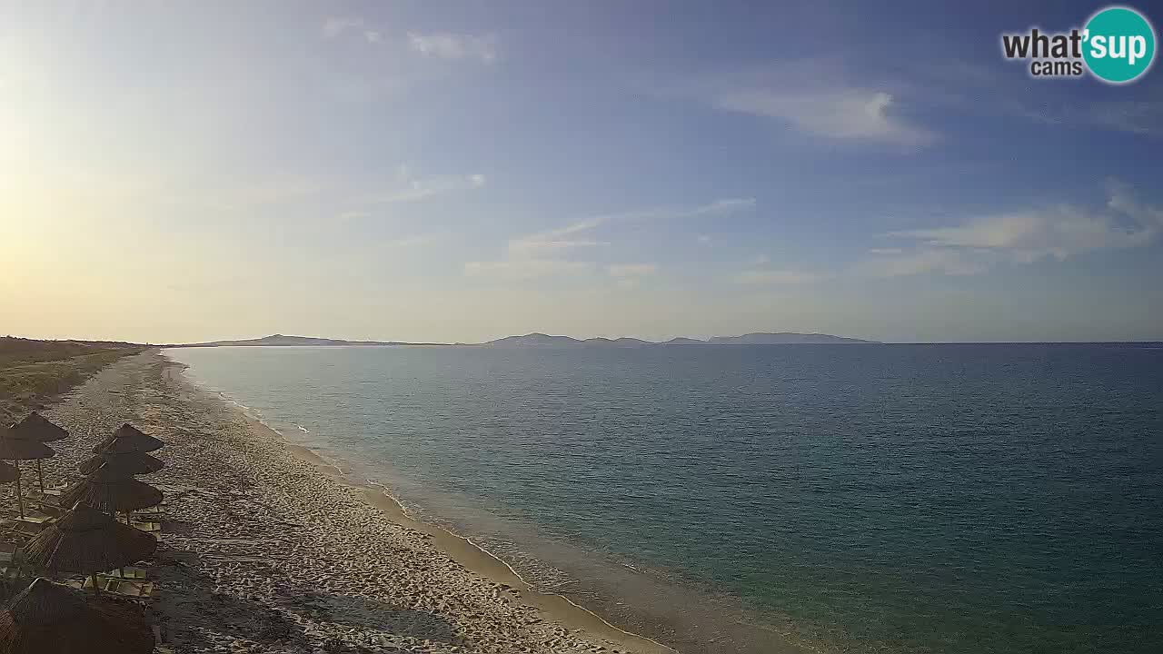 Strand Le Saline webcam Stintino – Sardinien